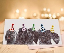 Single Luxury Long Kerry Blue