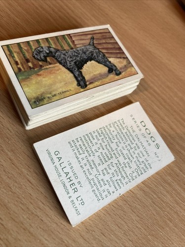 1936 gallaher dogs series - dogs, 1