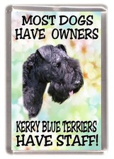 Kerry Blue Terrier Dog Fridge