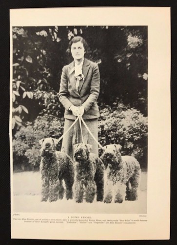 1934 dog print bookplate - print,
