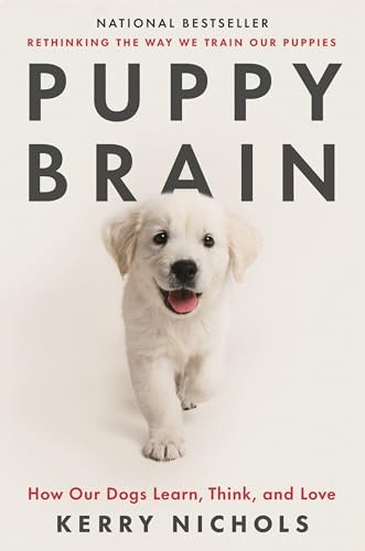 Puppy brain how our dogs - brain,