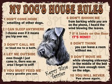 Kerry Blue Terrier My Dog's