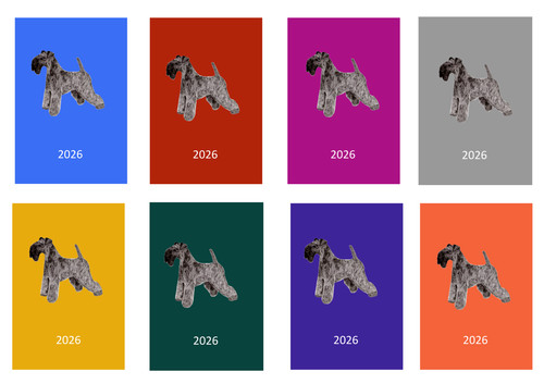 Kerry blue terrier 2026 - terrier,