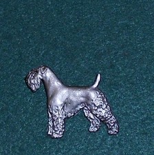 KERRY BLUE TERRIER Dog breed
