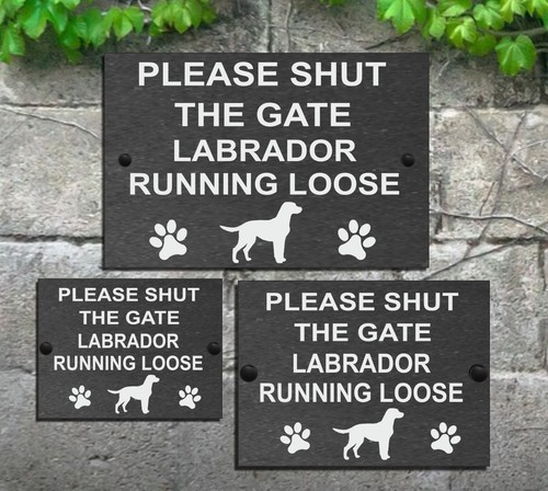 Please shut the - shut, dog