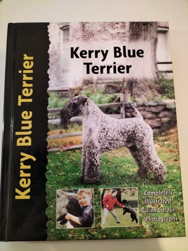 Kerry blue terrier - kerry, by