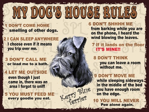 Dog house rules kerry - house,