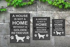 A House is not a Home Dog