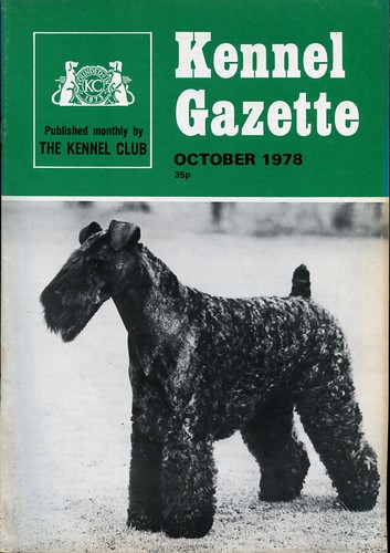 Kerry blue terrier the - terrier,