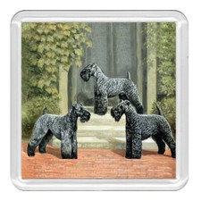 Kerry Blue Terrier Dogs Dog