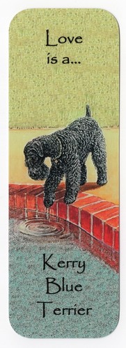 Kerry blue terrier - terrier, dog