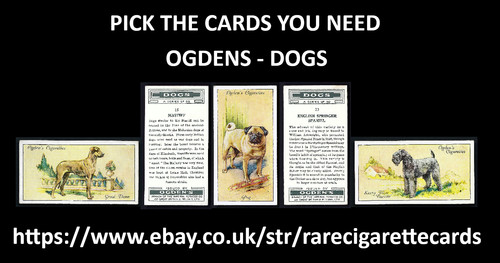 Ogdens dogs pick the - ogdens,