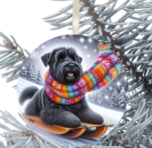 Kerry blue terrier dog - kerry,