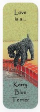 KERRY BLUE TERRIER BEAUTIFUL