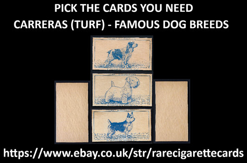 Carreras famous dog - carreras,