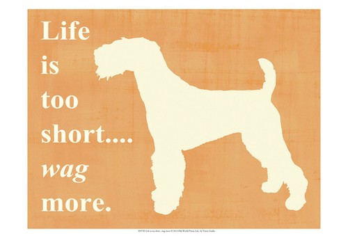 Kerry blue terrier - dog, art