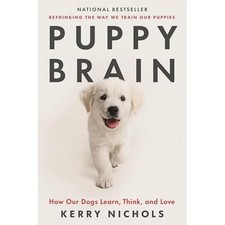 Puppy Brain : How Our Dogs