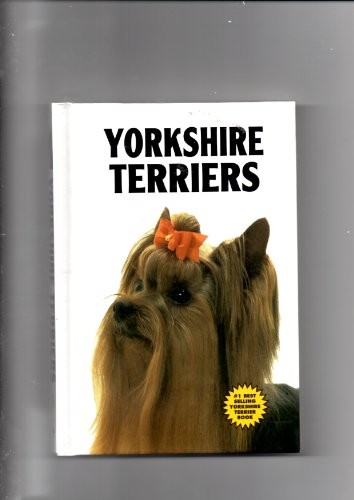 Yorkshire terriers - terriers, ("kw"